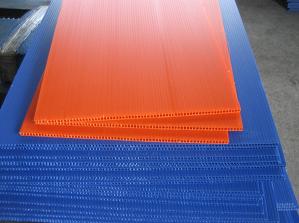 ���������пհ�