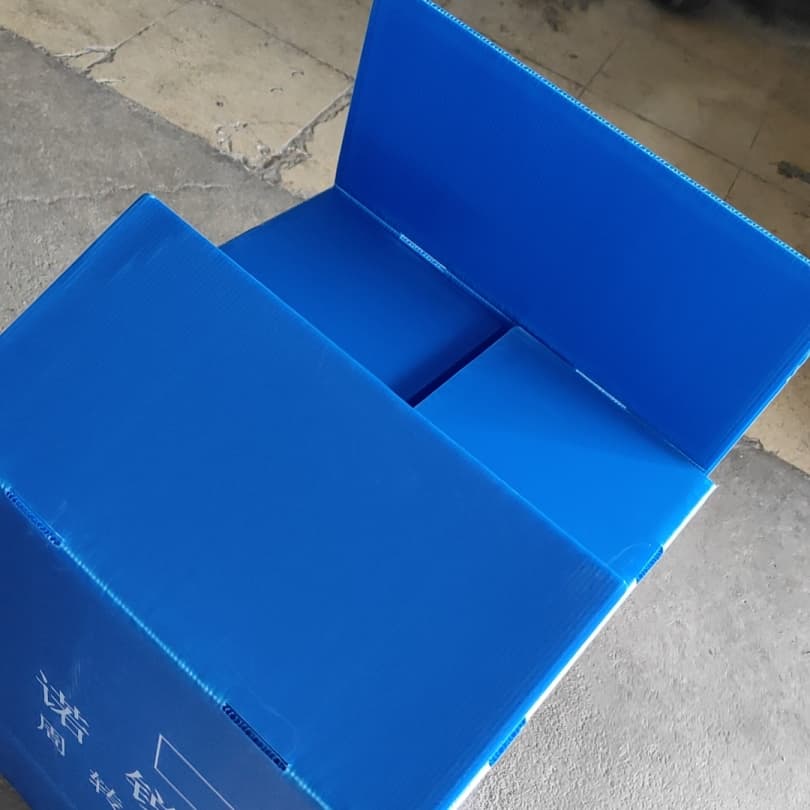蓝色 PP 中空板连体翻盖折叠周转箱