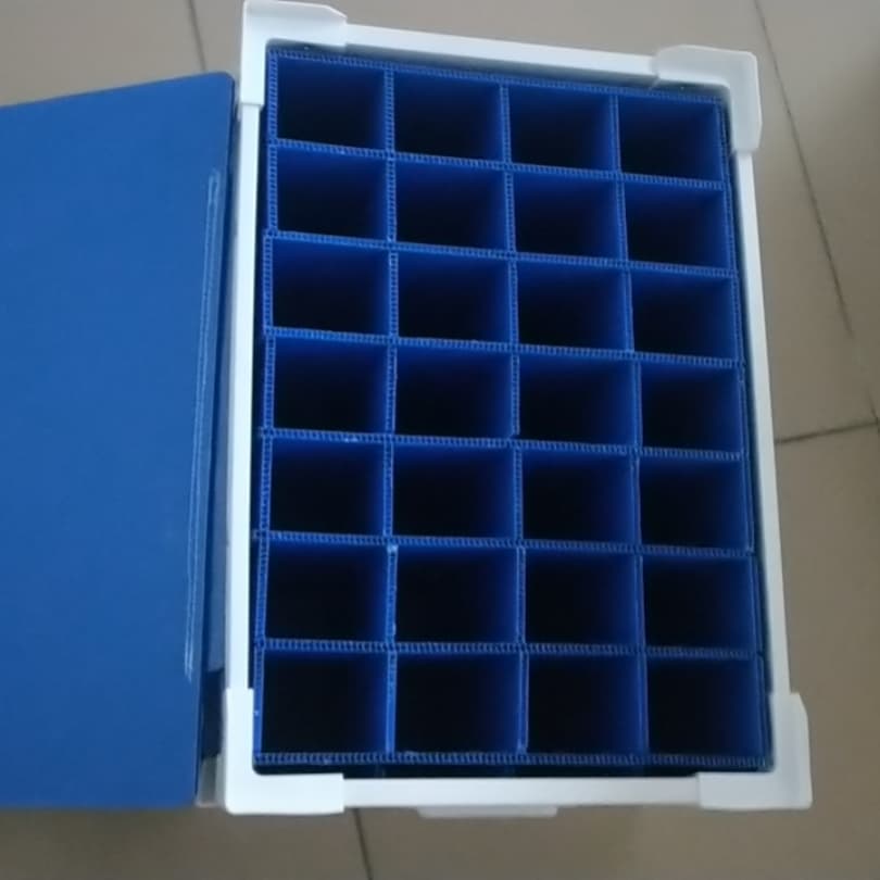 蓝色 PP 中空板白色全包护角多格翻盖分类周转箱